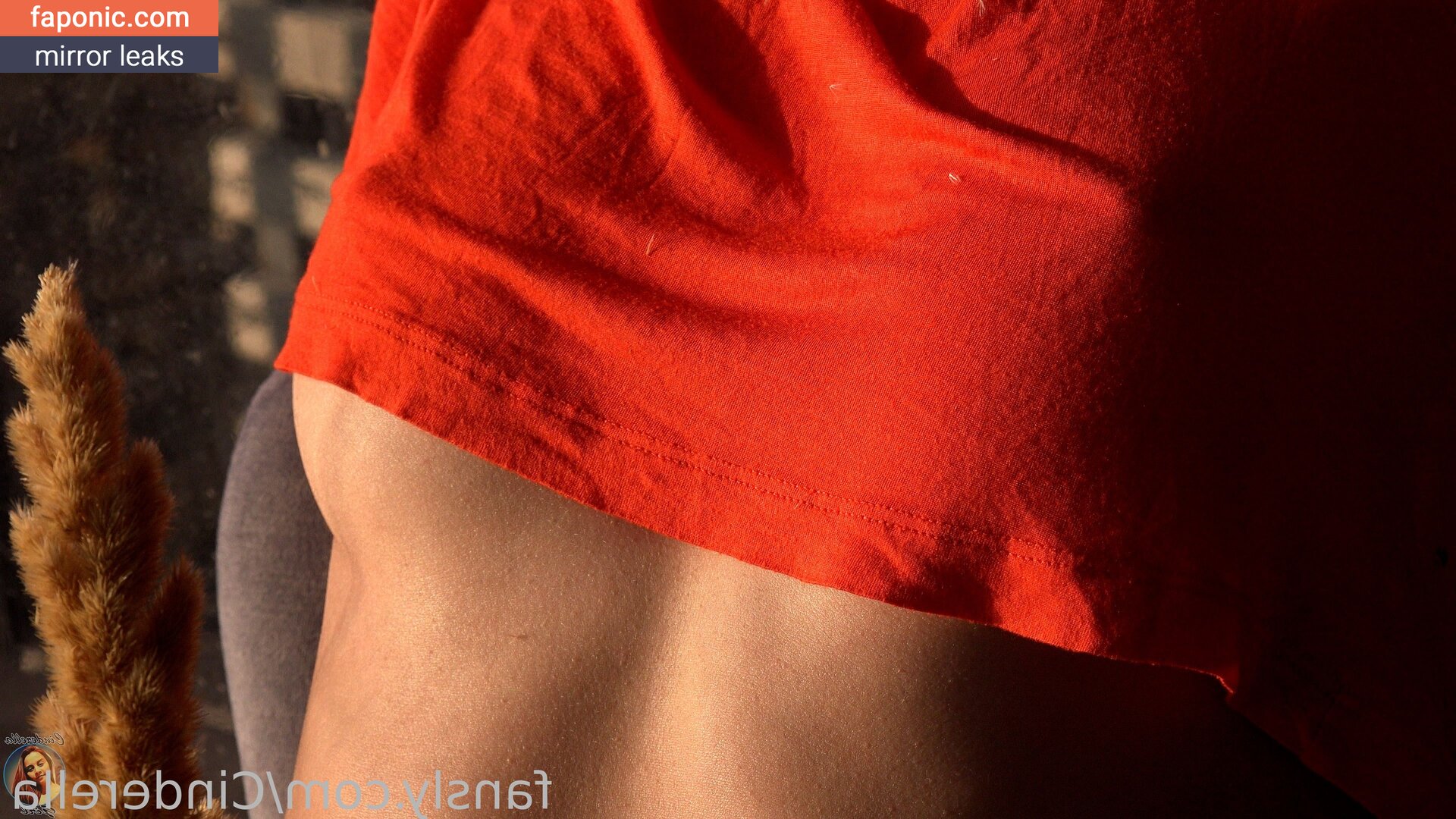 Cinderella Girl, Cinderella Story, cinderelagirl69, cinderelastory Nakenläckor OnlyFans Foto #192