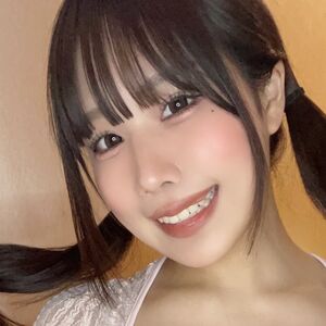 Towa Rabbit